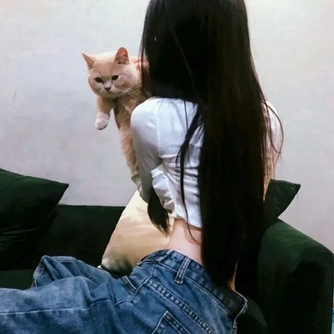 鲁邦三世:一美元战争